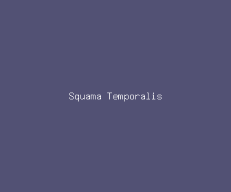 squama temporalis meaning, definitions, synonyms